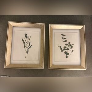 Pier 1 | Gold Framed Botanical Prints 12x15
